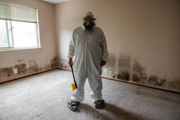 Forensic Mold Investigation in Lovelock, NV